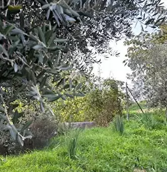 Foto annuncio 3
