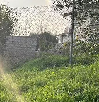 Foto annuncio 4