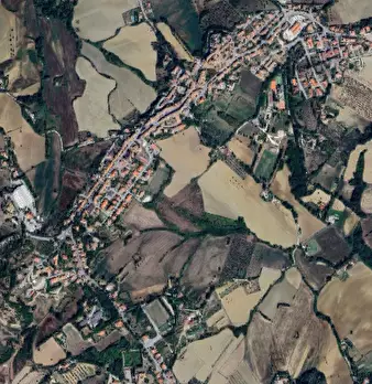 Foto annuncio 8
