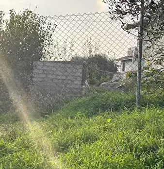 Foto annuncio 12