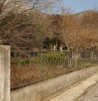 Foto annuncio 3