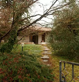Foto annuncio 7