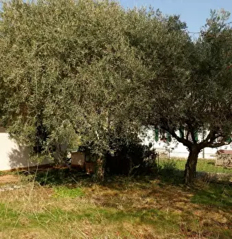 Foto annuncio 8