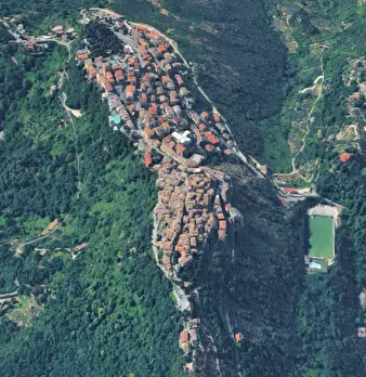 Foto annuncio 6