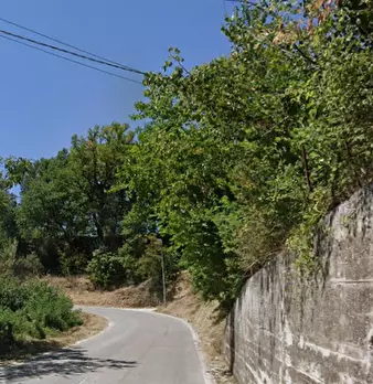 Foto annuncio 4