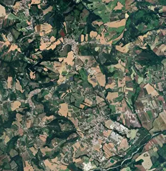 Foto annuncio 8