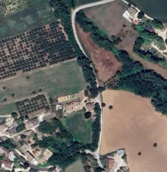 Foto annuncio 12