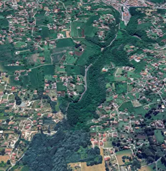Foto annuncio 6