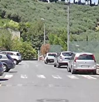 Foto annuncio 9