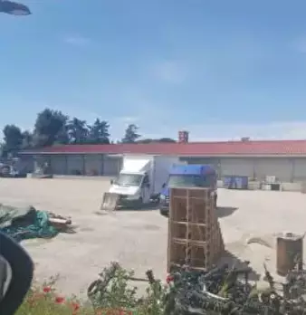 Foto annuncio 1