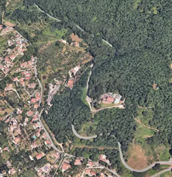 Foto annuncio 6