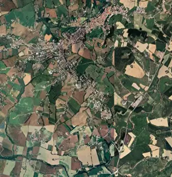 Foto annuncio 33