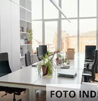 Foto annuncio 11