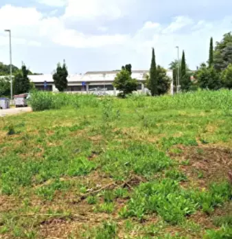 Foto annuncio 1