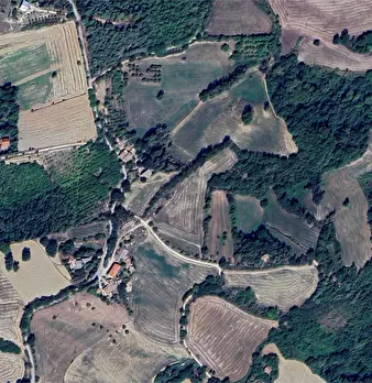 Foto annuncio 1