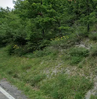 Foto annuncio 2