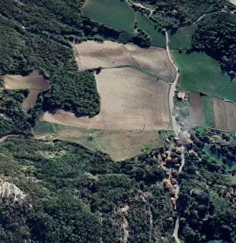 Foto annuncio 5