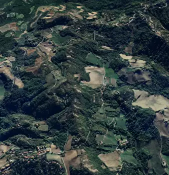 Foto annuncio 9
