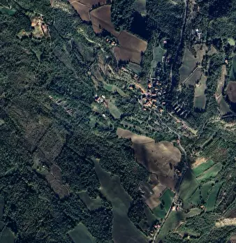 Foto annuncio 5