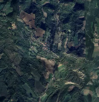 Foto annuncio 6