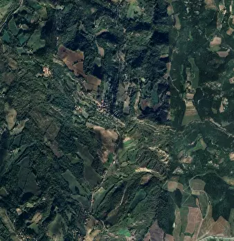 Foto annuncio 7