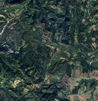 Foto annuncio 8