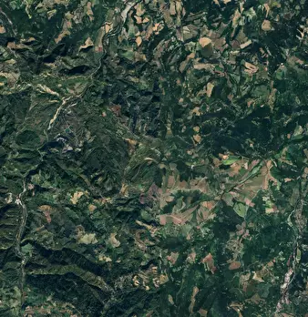 Foto annuncio 10
