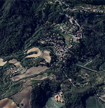 Foto annuncio 7
