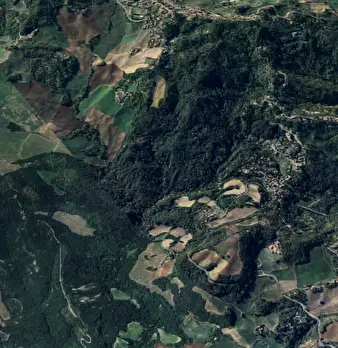 Foto annuncio 9