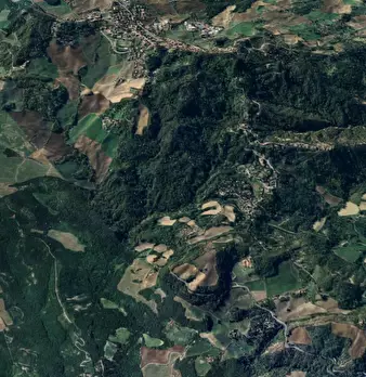 Foto annuncio 10