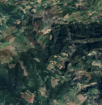 Foto annuncio 11