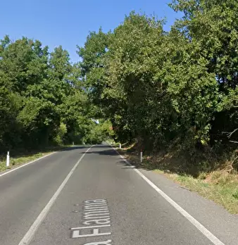 Foto annuncio 8