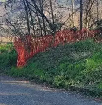 Foto annuncio 1