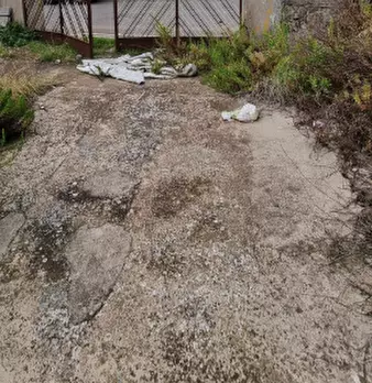 Foto annuncio 7