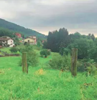 Foto annuncio 1