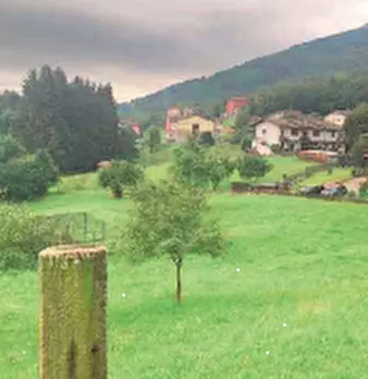 Foto annuncio 4