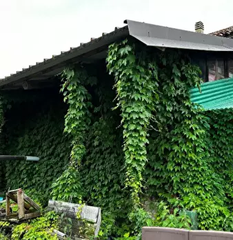 Foto annuncio 4