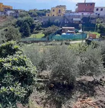 Foto annuncio 6
