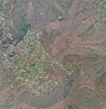 Foto annuncio 17