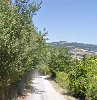 Foto annuncio 5