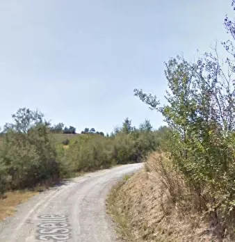 Foto annuncio 6