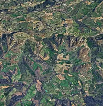Foto annuncio 8