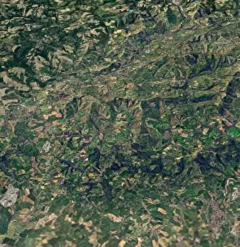 Foto annuncio 9