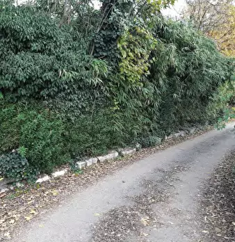 Foto annuncio 8