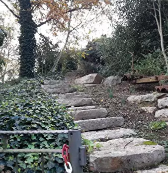 Foto annuncio 14