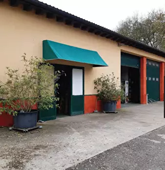 Foto annuncio 17
