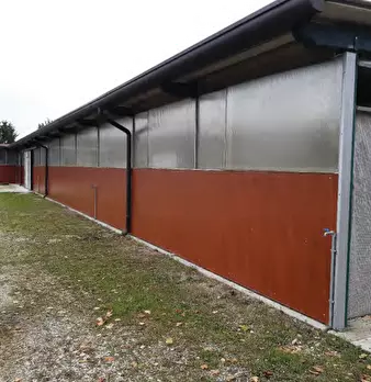 Foto annuncio 18