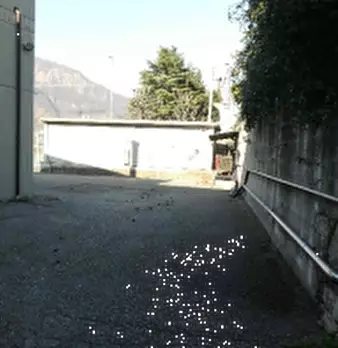 Foto annuncio 9