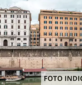 Foto annuncio 10