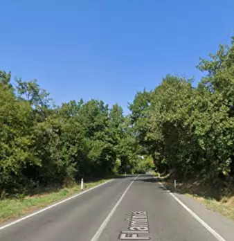 Foto annuncio 7